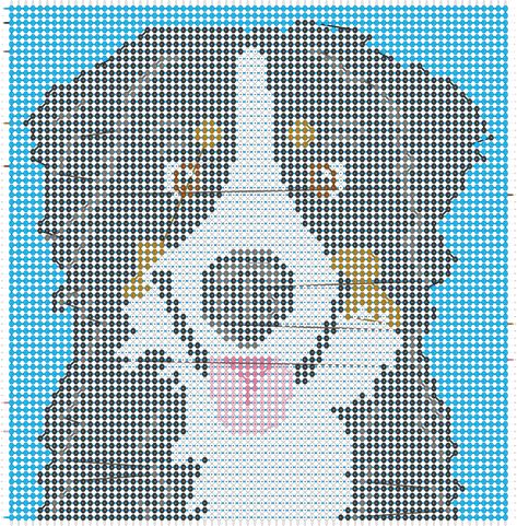 Afghan Knitting Patterns, Mini Australian Shepherds, Most Beautiful Dogs, Crochet Graphs, Australian Shepherd Dogs, Knitted Afghans, Mountain Dog, Crochet Dog, Bernese Mountain