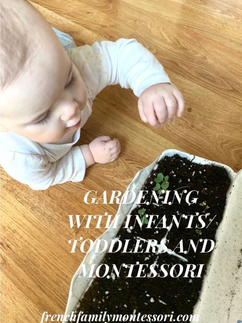 Infant Garden Activities, Montessori Garden, Montessori Infant, Infant Lesson Plan, French Family, Tiny Farm, Toddler Montessori, Teaching Babies, Bee Classroom