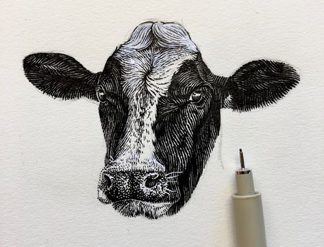 Cow Linocut, Vintage Cow Drawing, Cow Ink Drawing, Cow Lino Print, Cow Getting Abducted Drawing, Scratchboard Animals, Cow Drawing, Cow Head, Pen Art Drawings