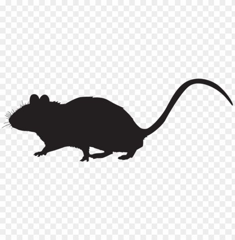 Mouse Png, Mouse Silhouette, Silhouette Photos, Silhouette Png, Silhouette Free, The Wallpaper, Coraline, Stock Pictures, Image Collection