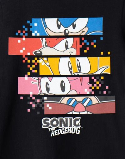 Sonic The Hedgehog — Vanilla Underground Black Sonic, Sonic T Shirt, Pixel Characters, Hedgehog Movie, Duos Icons, Classic Sonic, Video Game Posters, Sonic Franchise, Blue Hedgehog