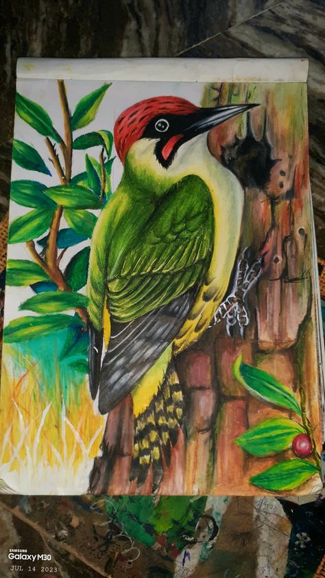 Colour Pencil Art Landscapes, Bird Composition, Birds Scenery, Students Drawing, Scenery Drawing For Kids, Village Drawing, Oil Pastel Drawings Easy, Buddhist Art Drawing, Oil Pastel Colours