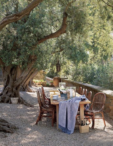 Al Fresco Dining, Outdoor Rooms, A Blanket, Arbor, Design Interior, Secret Garden, Outdoor Table, Outdoor Dining, Outdoor Spaces