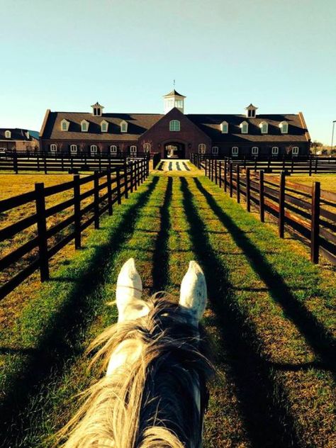 Dream Horse Barns, Dream Stables, Farm Chicken, Future Farms, Casa Country, Dream Barn, Horse Property, Barn Design, Horse Ranch