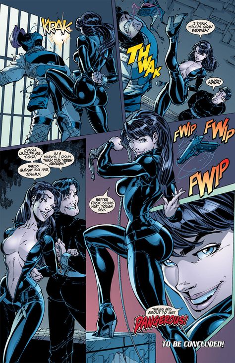 Catwoman Comic, Danger Girl, Scott Campbell, Batman And Catwoman, Dc Comics Superheroes, Arte Dc Comics, Comics Girls, Comic Movies, Image Comics