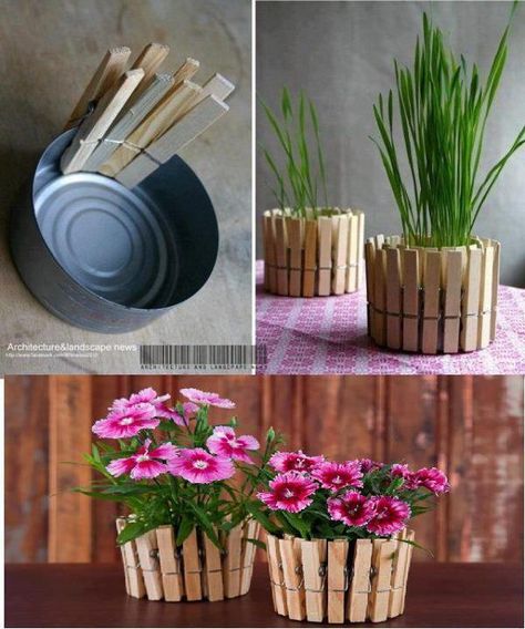 DIY flowerpot Diy Flores, نباتات منزلية, Plant Pot Diy, Fleurs Diy, Cheap Flowers, Deco Nature, Diy Flower Pots, Dekor Diy, Diy Simple