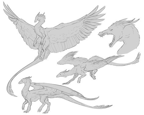 Dragon Arms Reference, Dragon Oc Reference, Tairn And Andarna Drawing, Dragons Drawing Reference, Flying Dragon Reference, Dragon Dynamic Pose, Armored Dragon Art, Dragon Leg Reference, Two Legged Dragon