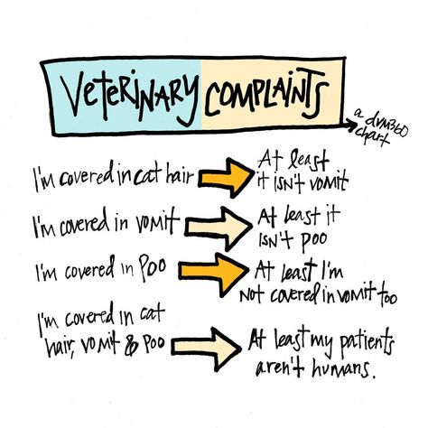 Happy World Veterinary Day to veterinarians, technicians and support staff — no matter what you're covered in today, we appreciate you.  🐶💩 Kennel Technician Humor, Vet Nurse Quotes, Veterinary Technician Humor, Veterinary Receptionist Week, Vet Tech Week Quotes, Veterinary Technician Quotes, World Veterinary Day, World Veterinary Day Quotes, Veterinarian Quotes