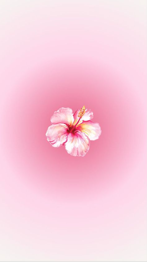 Hibiscus Flower Wallpaper Aesthetic, Flower Backround, Pink Wallpaper Desktop, Pink Wallpaper Ipad, Cute Images For Wallpaper, Iphone Wallpaper Stills, Cute Summer Wallpapers, Bow Wallpaper, Pink Wallpaper Backgrounds