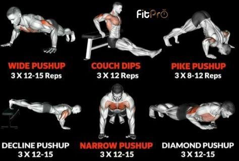 Pike Pushup, Boxing Workout Beginner, Free Weight Workout, Workouts Routines, Wake Up Workout, Workout Board, Push Workout, Bodybuilding Workouts Routines, Jiu Jitsu Training