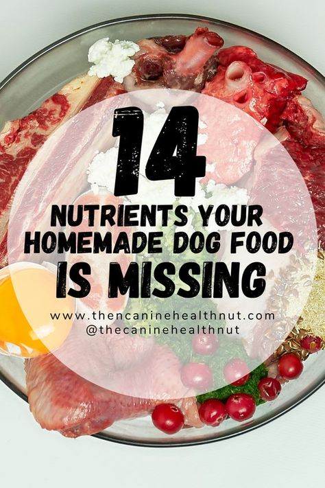 Limited Ingredient Dog Food Recipes, Diy Dog Food Recipes Homemade, Diy Dog Food Recipe For Allergies, All Natural Dog Food Recipes How To Make, Diy Grain Free Dog Food, Natural Foods For Dogs, Complete Dog Food Recipe, Homemade Dog Food Recipes For Frenchies, Elderly Dog Food Recipes