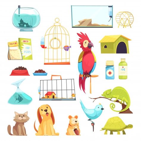 Pet shop set Free Vector | Free Vector #Freepik #freevector #food #sale #dog #character Domestic Animals, Parrot Toys, Luxury Pet, Flat Vector, Vector Illustrations, Pet Health, Cute Funny Animals, Gacha Club, Gacha Life