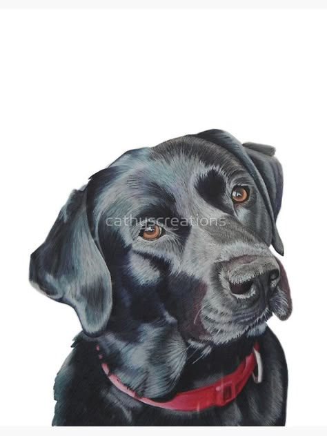 Black Lab Drawing, Lab Drawing, Dog Portrait Drawing, Colouring Pictures, Black Labrador Dog, Dog Portraits Painting, Labrador Art, Labs Art, Draw Animals