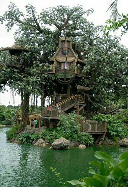 Tarzan's tree house at Disneyland Hong Kong Swiss Family Robinson Treehouse, The Swiss Family Robinson, Nature Drawings, Beautiful Tree Houses, Casa Hobbit, Disneyland Attractions, Swiss Family Robinson, Building A Treehouse, Tree House Diy