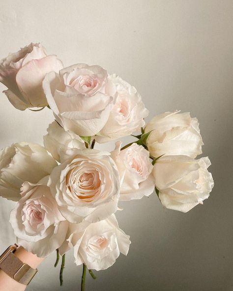 Rose Gold Flowers Aesthetic, Pink Blush Aesthetic, White Roses Aesthetic, Flower Profile, Blush Pink Aesthetic, Beige Roses, Soft Pink Roses, Soft Pink Flowers, Soft Flowers