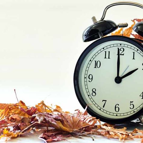 Daylight Savings Time Quotes, Daylight Saving Time Ends, Daylight Saving Time, Black Clock, Dry Leaves, Time Change, Daylight Saving, Gambling Machines, Gambling Cake