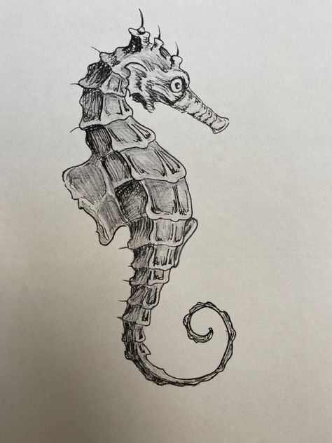 Seahorses Tattoos, Seahorse Drawing Sketches, Seahorse Tattoos, Seahorse Drawing, Seahorse Tattoo, Sea Creatures Art, Horror Tattoo, Sea Horse, Seahorses