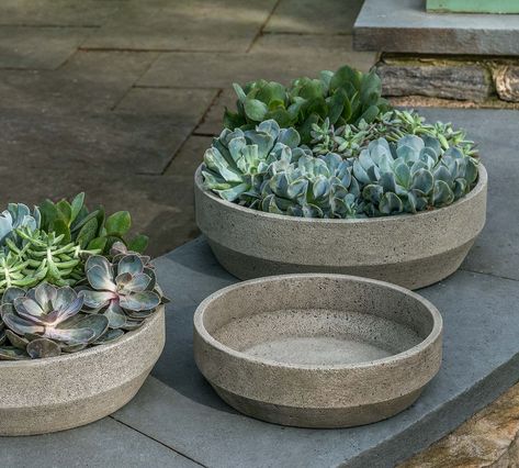 Baylee Beveled Planter | Pottery Barn Planter Pottery, Micro Garden, Campania International, Patio Planters, Stone Planters, Terracotta Planter, Garden Accents, Cast Stone, Pottery Planters