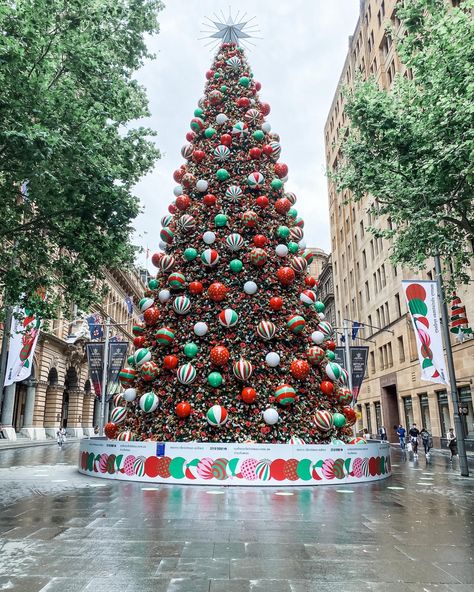 Red green gold with lights and big star on the top Christmas In Sydney, Sydney Christmas, Sydney, Christmas Tree, Holiday Decor, 10 Things, Christmas