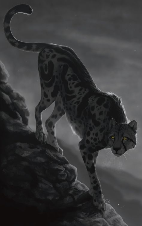 Pet Cheetah :: Clique art Wild Cats Drawing, King Cheetah Art, Black Panther Animal Art, Fantasy Cheetah, Cheetah Oc, Pet Cheetah, Cheetah Character, Hilarious Animal Memes, Cheetah Drawing