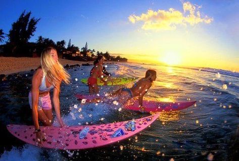 Pin by cheese wheeze on CA Beach Babe in 2022 | Surf girls, Surfing, Summer dream Malibu Barbie, Y2k Summer, Surf Life, Enjoy Summer, Island Girl, Summer Dream, Surfer Girl, Summer Pictures, Beach Aesthetic