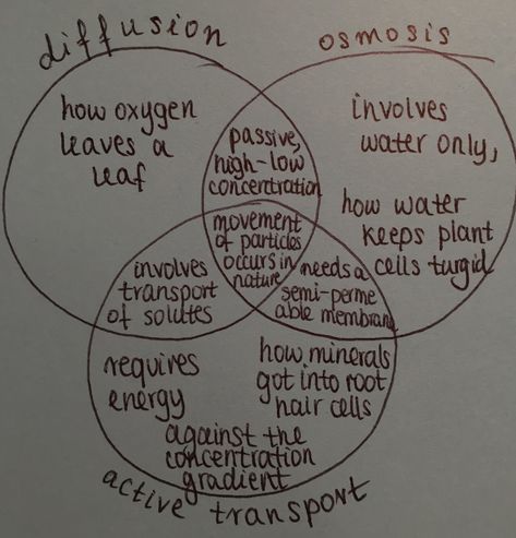 Diffusion osmosis active transport comparing Osmosis Diffusion Active Transport, Biology Notes Diffusion, Active Transport Notes, Diffusion Osmosis Active Transport, Osmosis Notes Biology, Osmosis And Diffusion Notes, Active Transport Biology Notes, Pathogens Notes, Cell Transport Notes