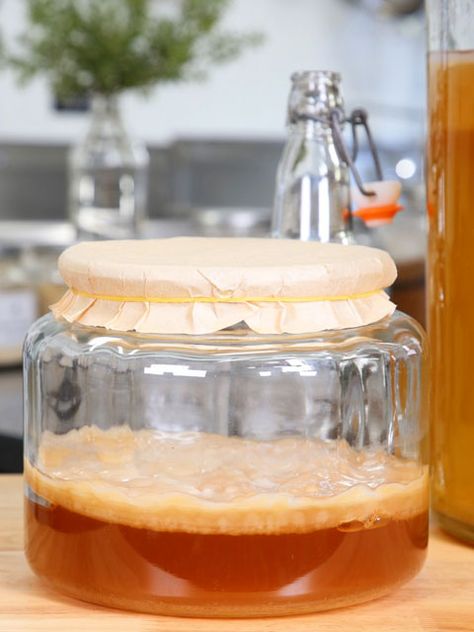 The easiest way to get a SCOBY is just to buy a kombucha starter kit online or acquire one from a friend, but I get that it isn't always possible.  Here, you will learn how to create one from the ground up. How To Grow A Scoby From Scratch, Kombucha Recipes, Easy Homemade Lasagna, Easy Cabbage Rolls, Pork Steak Recipe, Easy Corn Casserole, Kombucha Starter, Casserole Side Dishes, Cooking With Essential Oils