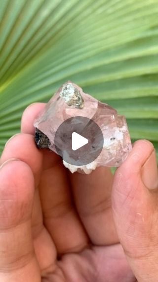 Dubani Gems on Instagram: "Pink fluorite with black tourmaline combine from dassu mines shigar valley skardu.

#fluorite #pink #crystal #dubanigems #gemstones" Black Tourmaline, Tourmaline, Gems, Crystals, Gemstones, Pink, Black, Instagram