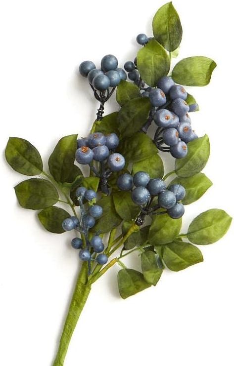 Amazon.com: Factory Direct Craft Blue Artificial Hypericum Berry Stem : Home & Kitchen Hypericum Berry, 2024 Christmas, Factory Direct Craft, Artificial Flowers, Home Kitchen, Berry, Free Delivery, Christmas Tree, Flowers