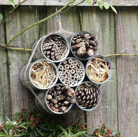 Bug House, Bench Workout, Bee Hotel, Bug Hotel, Diy Cushions, Insect Hotel, Wildlife Gardening, Tin Cans, School Garden