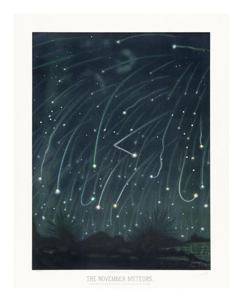 The November Meteors, 1881 by Etienne Léopold Trouvelot - Paper Print - The Huntington Custom Prints - Custom Prints and Framing From The Huntington Library, Art Museum, and Botanical Gardens Old Astronomy, Light Branding, Vintage Public Domain, Snow View, Vintage Astronomy Prints, Astronomy Prints, Imaginary Art, Sleeping At Last, Astronomy Art