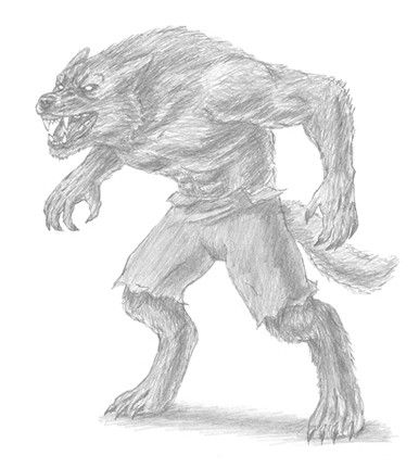 How to draw a werewolf from How2DrawAnimals. #werewolf #howtodraw #drawing Easy Sketches For Beginners, Werewolf Drawing, Drawing Instructions, Monster Coloring Pages, Draw Shapes, Werewolf Art, Writing Art, Drawing For Beginners, Sketches Easy