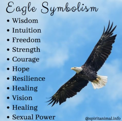 Eagle meaning and totem Eagle Meaning, Eagle Symbolism, Eagle Quotes, Audobon Birds, Eagles Quotes, Birds Quotes, Bird Aesthetic, Birds Feeder, Tattoo Birds