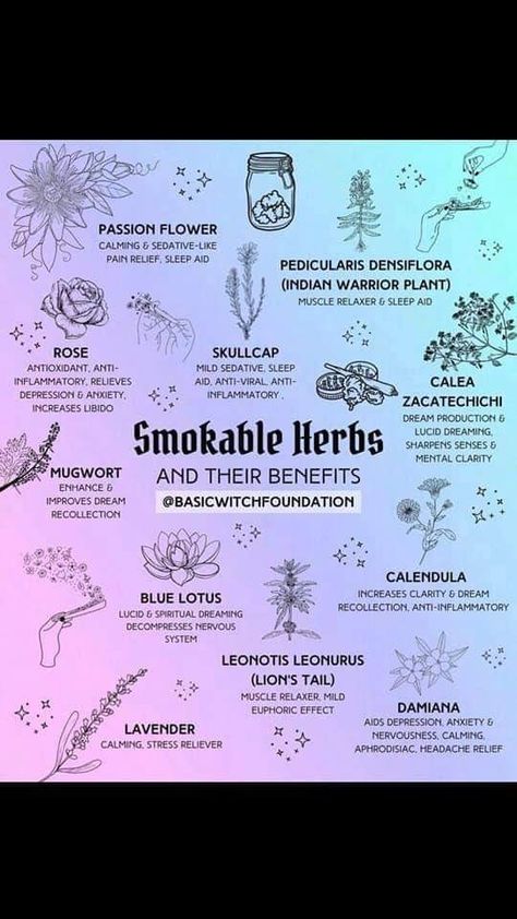 Smokeable Herbs, Smokable Herbs, Medicinal Herbs Remedies, Witchcraft Stuff, Herbal Education, Pre Roll, High Jokes, Medical Herbs, Rose Lavender