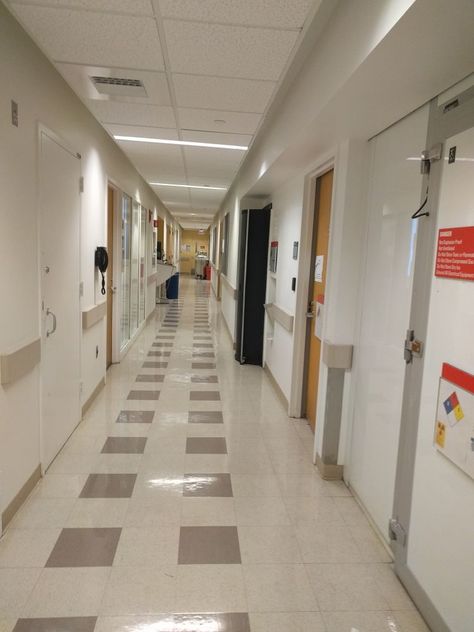 "Major hallways in research building" Boston Children's Hospital | Glassdoor Photos Boston Children's Hospital, Children’s Hospital, Boston Hospital, Hospital Hallway, Nurse Goals, Hospital Pics, Research Building, Hospital Office, Boston Childrens Hospital