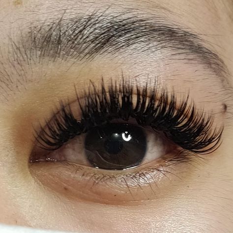 Dolly Eyelash Extension, Eyelashes Extensions, Eyelash Extension, Eyelash Extensions, Eyelashes, Baby Dolls, Lashes, Birthday, On Instagram