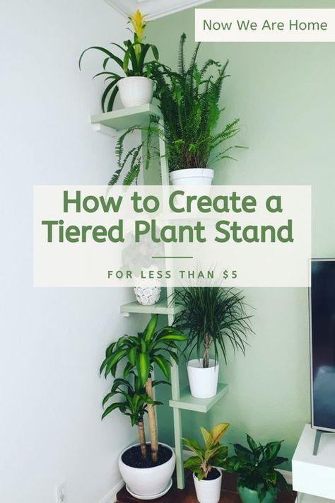 Tiered Plant Stand Indoor, Tiered Plant Stand, Indoor Plant Wall, Corner Plant, Plant Wall Decor, Latest Obsession, Hanging Plant Wall, Farmhouse Decorating, Wooden Plant Stands