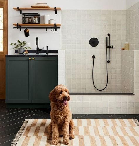 Design Tips For Creating a Chic Mud Room with a Dog Bath — KNOF Design Dog Shower Bathroom, Dog Shower Mudroom, Laundry Room Dog Room Combo, Dog Bath Laundry Room, Laundry Room Dog Bath, Dog Bath In Laundry Room, Dog Shower In Laundry Room, Grooming Salons, Built In Cubbies