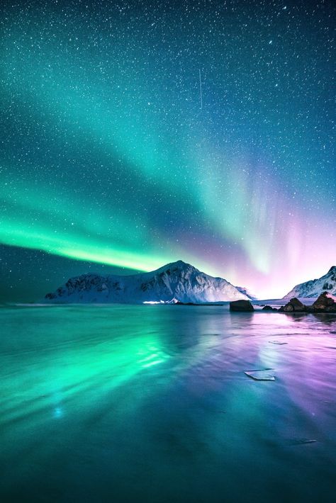 Futurisme Retro, Northern Lights (aurora Borealis), Aurora Borealis Northern Lights, See The Northern Lights, The Aurora, Polar Bears, Alam Yang Indah, Beautiful Sky, Night Photography