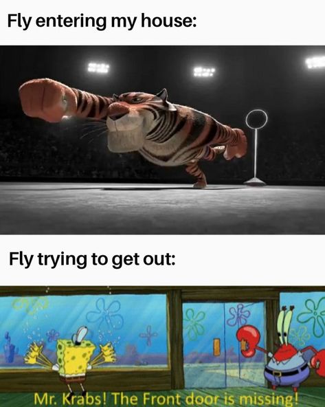 memes hilarious can't stop laughing follow us so we can keep you laugh Hilarious Memes Can't Stop Laughing, Happy Meme, Pretty Meme, Memes Life, Spongebob Funny, True Memes, Memes Hilarious, Spongebob Memes, Hilarious Memes