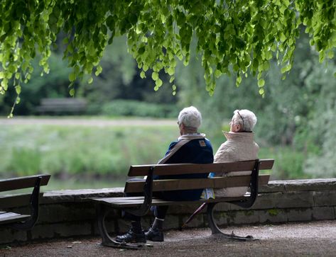 Business Folder, Elderly Couples, Financial Help, Saturday Afternoon, The Heart Of Man, Rich Kids, Old Age, Rich Man, Old People