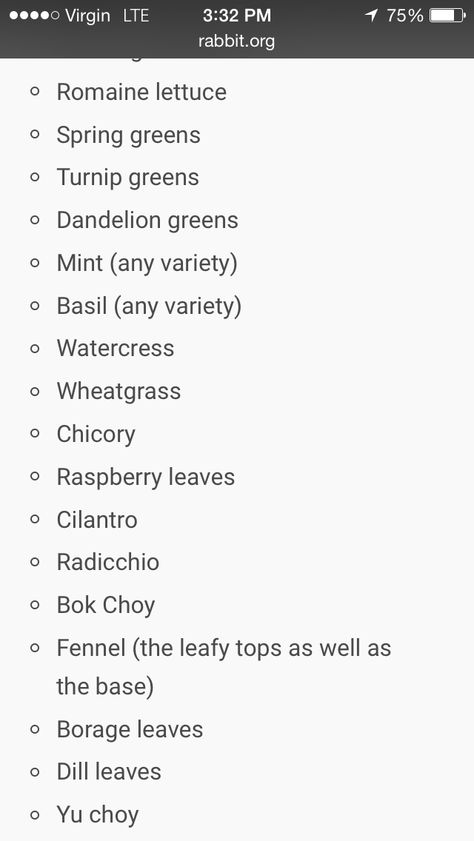 Must Have Herbs, Bunny Things, Pet Bunny Rabbits, Bunny Care, Turnip Greens, Rabbit Care, Pet Ideas, Pet Bunny, Wheat Grass