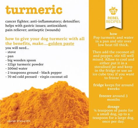 tumeric - benefits for your pets Tumeric For Dogs, Golden Paste Recipe, Peanut Butter Dog Biscuits, Golden Paste, Dog Biscuit Recipes, Grain Free Dog Food, Peanut Butter Dog Treats, Paste Recipe, Raw Dog Food Recipes