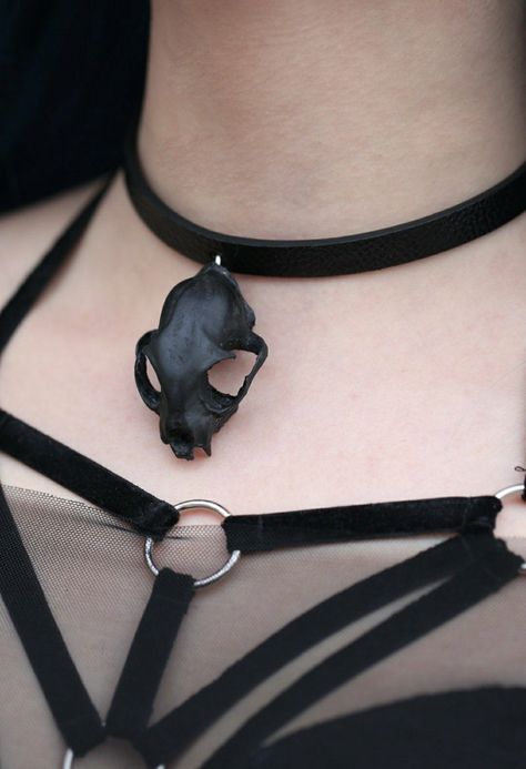 Cat Skull Choker $28.46 Skull Collar, Skull Choker, Animal Skull, Cat Skull, Goth Jewelry, Animal Skulls, Aurora, Choker, Choker Necklace