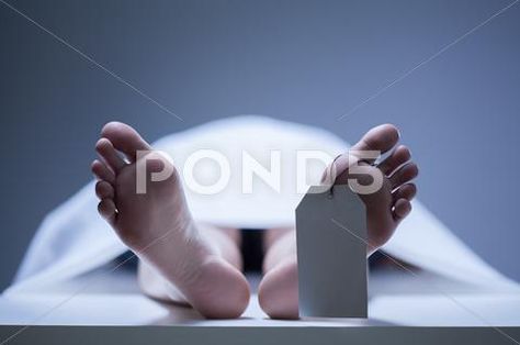 Close-up of human feet in morgue Stock Photos #AD ,#feet#human#Close#Photos Cat Design Illustration, Professional Business Cards Templates, Texture Paint, Card Templates, Business Card, Close Up, High Resolution, Royalty, Free Download