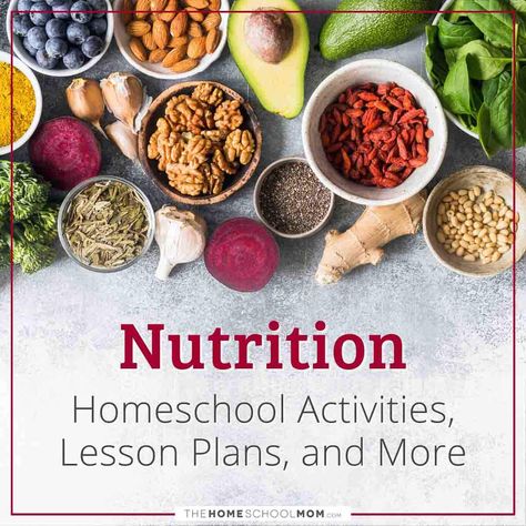 Kindergarten Nutrition Lessons, Homeschool Culinary Arts, Homeschool Nutrition Unit, Middle School Nutrition Lessons, Homeschool Nutrition Curriculum, Homeschool Cooking Curriculum For Kids, Homeschool Health Curriculum Free, Nutrition Unit Study, Nutrition Lesson Plans Elementary