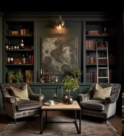 Living Room Dark Academia, Moody Library, Dark Academia Living Room, Dark Academia Interior, Academia Living Room, Built In Bookshelves, Dark Living Room, Whiskey Room, Home Library Rooms