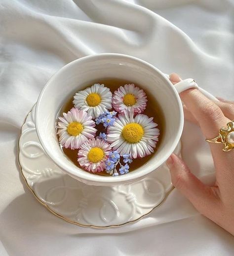 (1) Twitter Floral Drink, Nautical Aesthetic, Tea Aesthetic, Soft Grunge Aesthetic, Bohemian Aesthetic, Bridal Shower Tea, Boho Aesthetic, A Cup Of Tea, Flower Tea