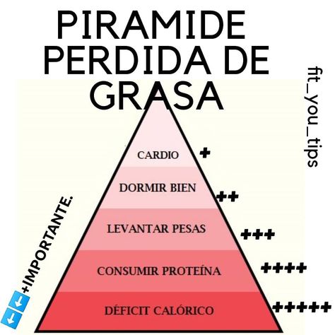 Queres perder grasa ?...focalizá que es lo mas y lo menos importante.DEFICIT CALORICO :BAJAR CONSUMO CALORIAS  Mas claro🌊🌊💦💦 . ..… Gym Tips, Effective Workout Routines, Gym Routine, Feel Good Quotes, December 16, Belly Fat Workout, Transformation Body, Gym Motivation, Fat Loss