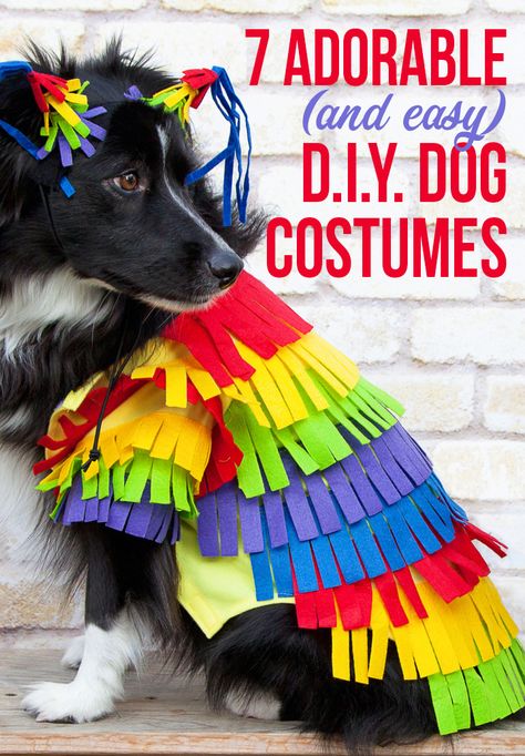 7 Adorable (And Easy!) DIY Dog Costumes - The Dogington Post Diy Pet Costumes Dogs, Trailer Halloween Decorations, Diy Pet Costumes, Diy For Dogs, Costumes Homemade, Pete The Cat Costume Diy, Halloween Costumes For Dogs, Pete The Cat Costume, Dog Owner Tips